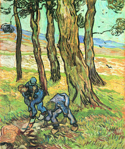 Two men in digging out a tree stump